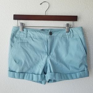 Aqua Express Shorts